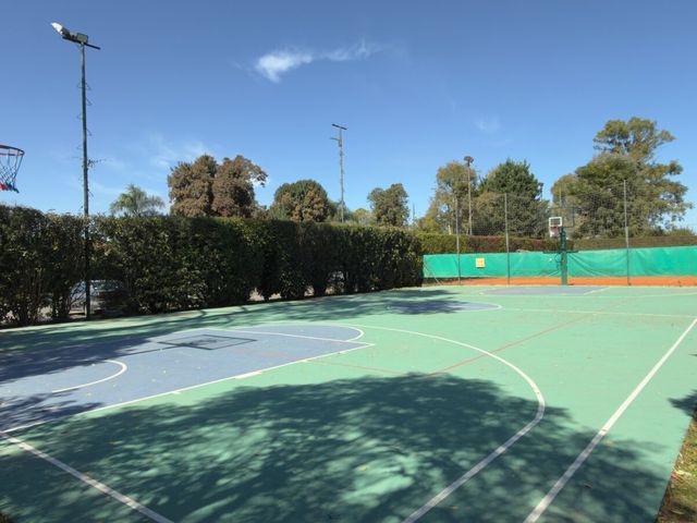 place photo 47