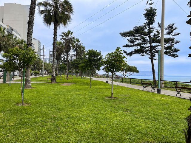 place photo 46