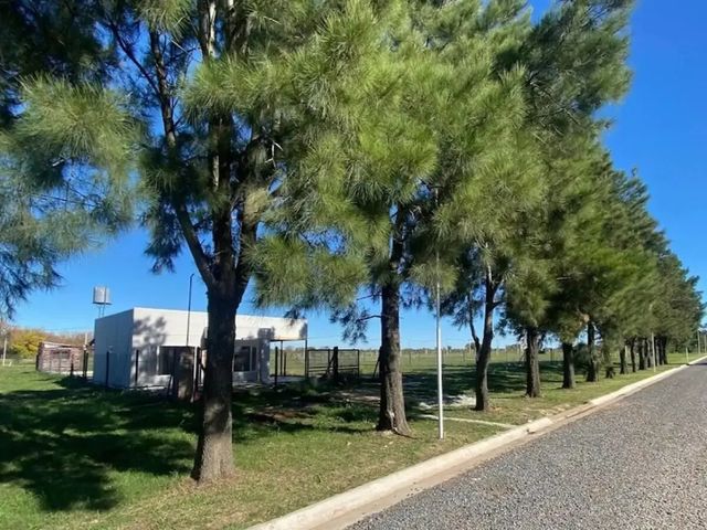 place photo 11