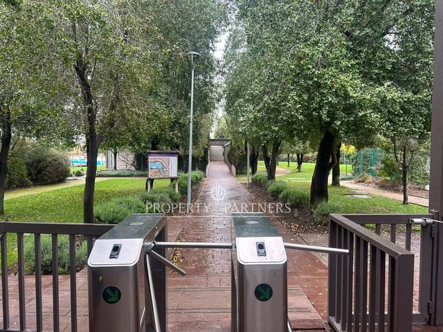 place photo 25