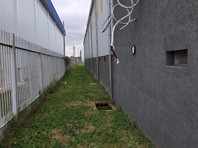 place photo 30