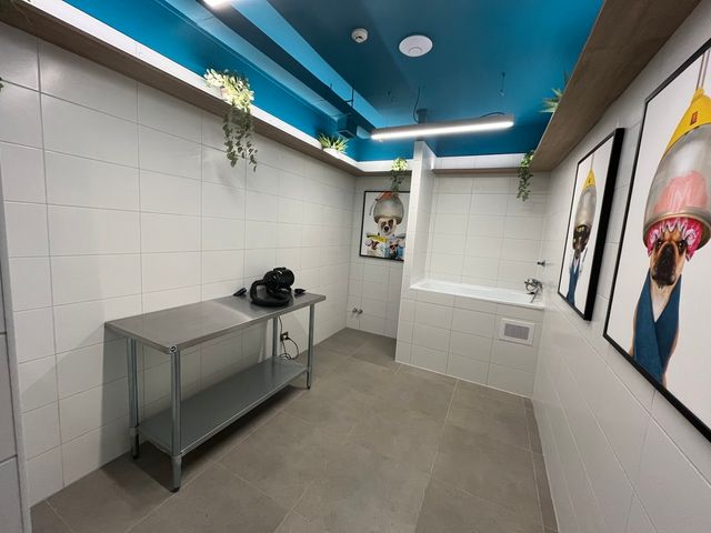 place photo 27