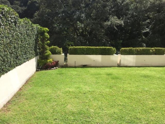 place photo 44