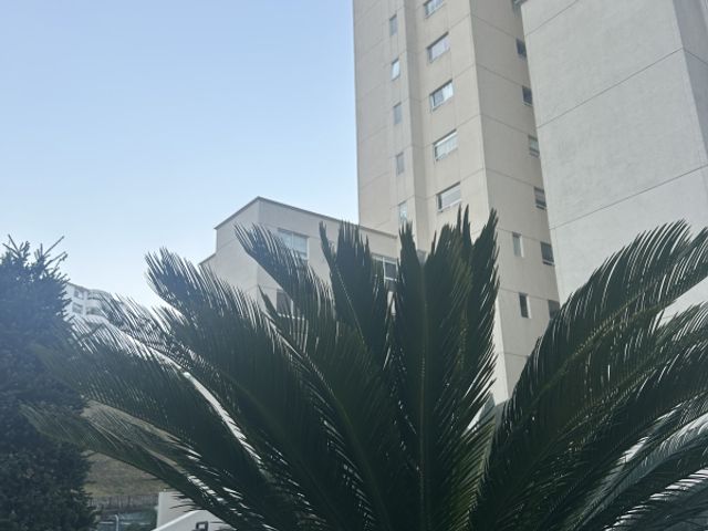 place photo 42