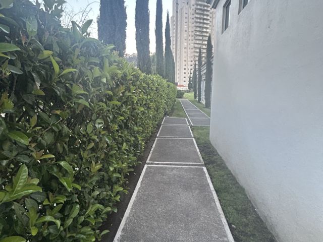 place photo 36