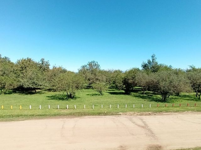 place photo 53