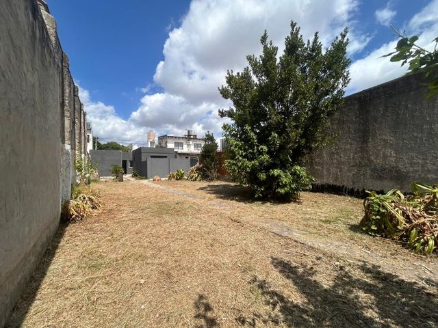 place photo 24