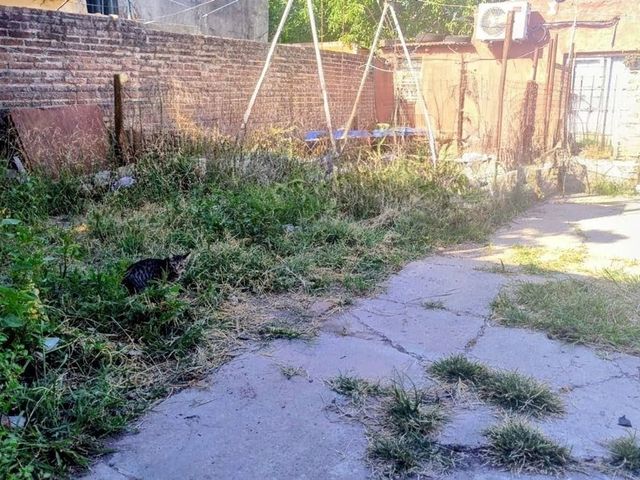 place photo 12