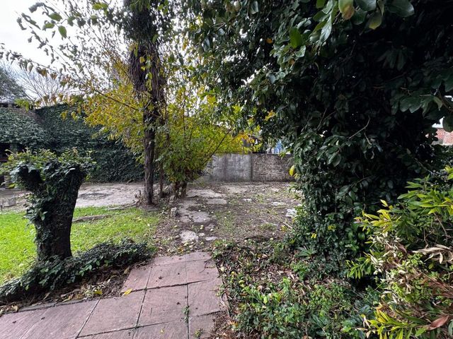 place photo 37