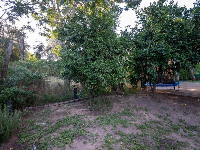place photo 48