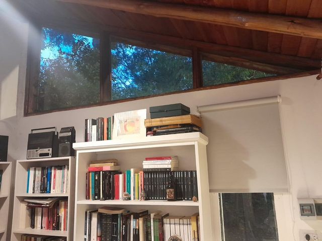 place photo 40