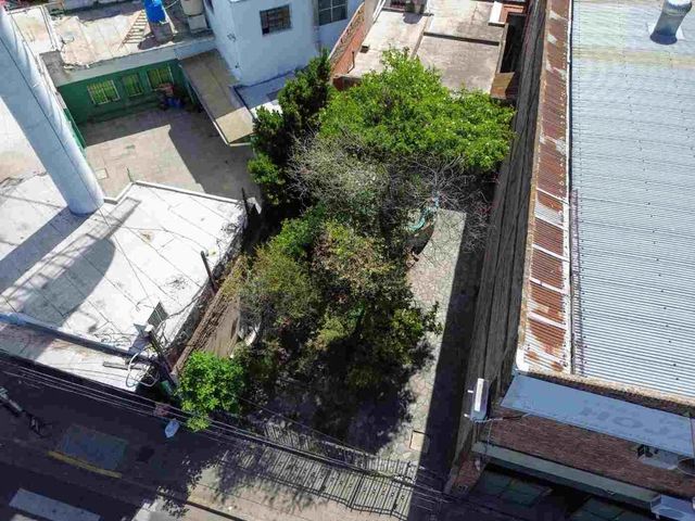 place photo 33
