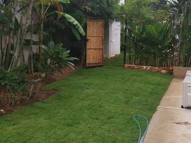 place photo 52