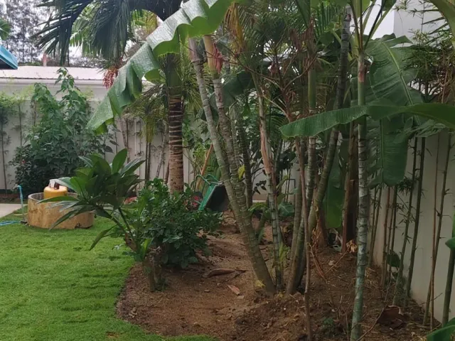 place photo 56