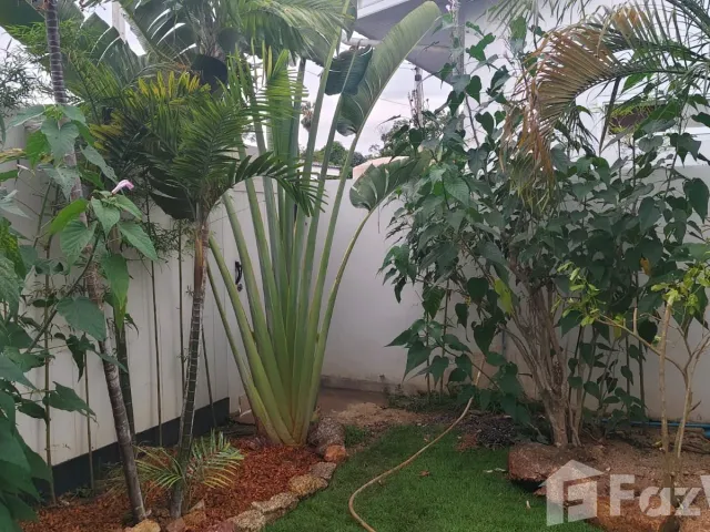 place photo 48