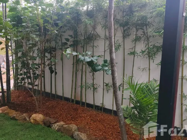 place photo 55