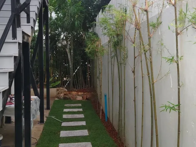 place photo 51