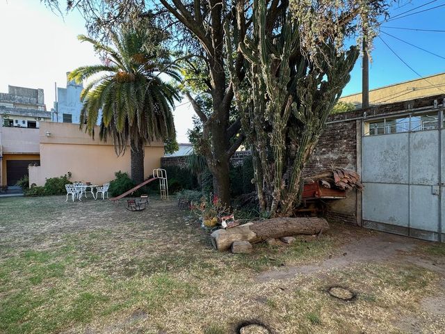 place photo 37