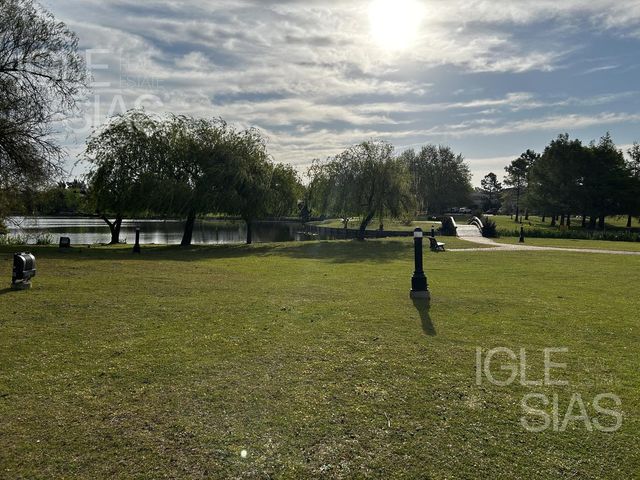 place photo 39