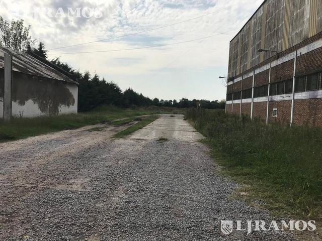 place photo 8