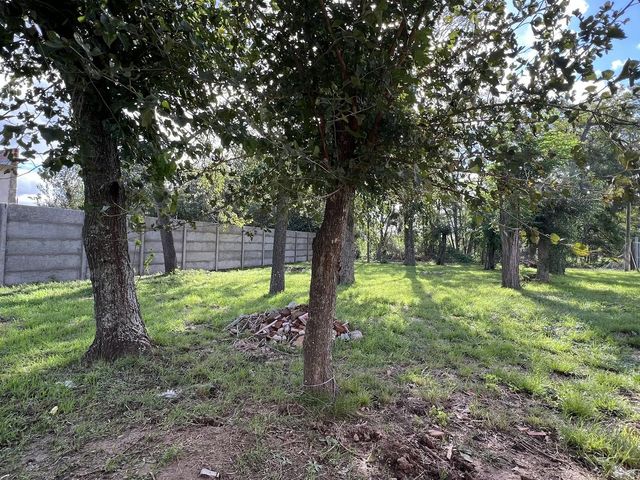 place photo 10