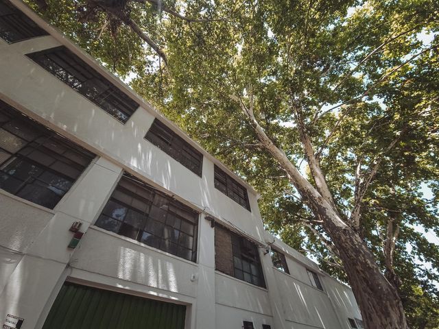 place photo 39