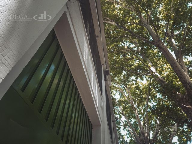 place photo 49