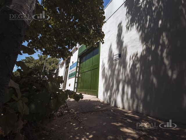 place photo 54