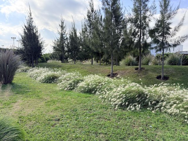 place photo 77