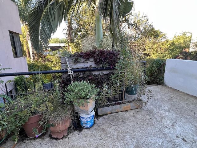place photo 39
