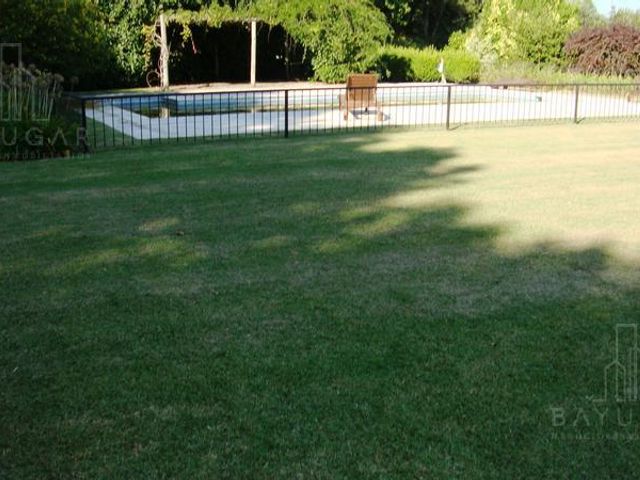 place photo 36