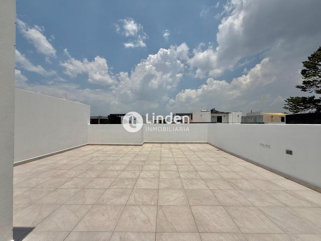 place photo 43