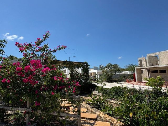 place photo 46