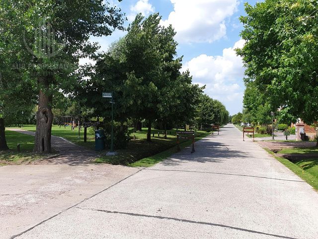 place photo 46