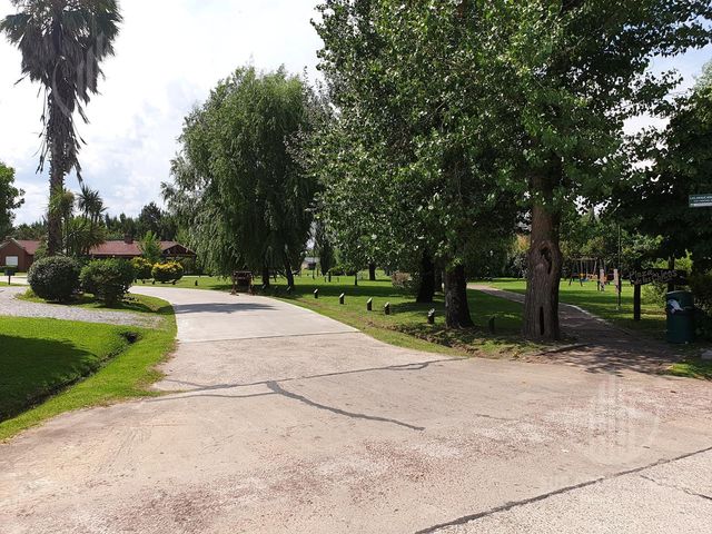 place photo 48
