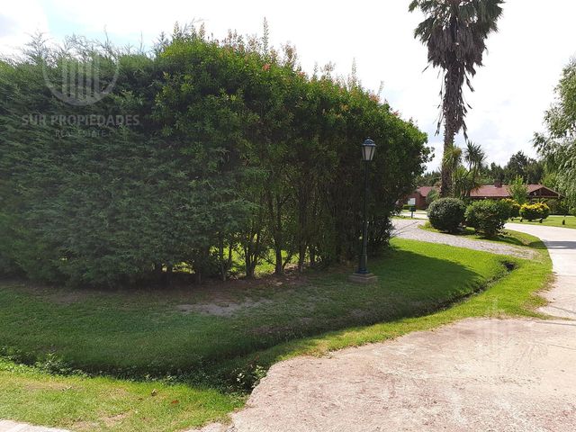 place photo 47