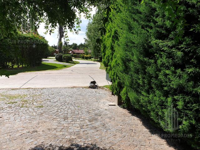 place photo 50