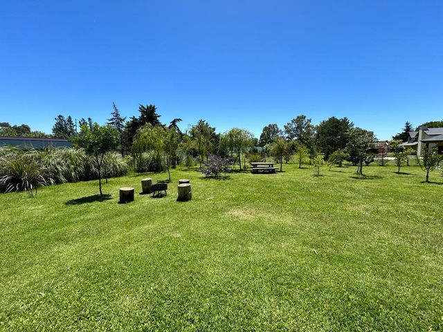place photo 24