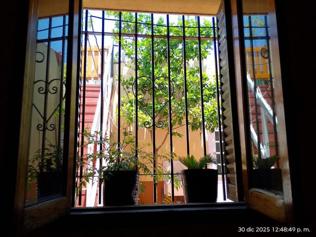 place photo 45