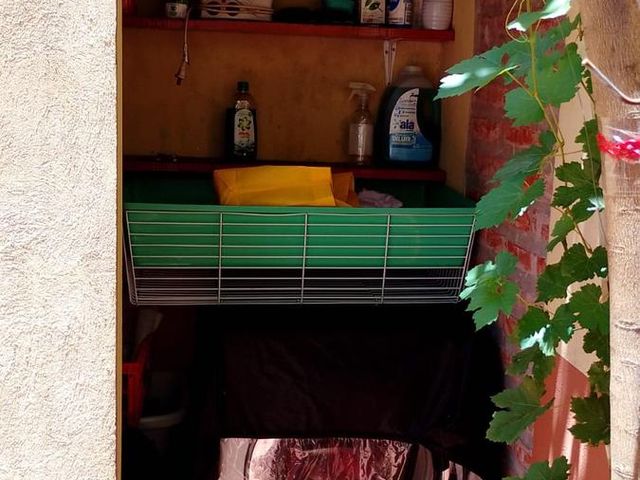 place photo 47
