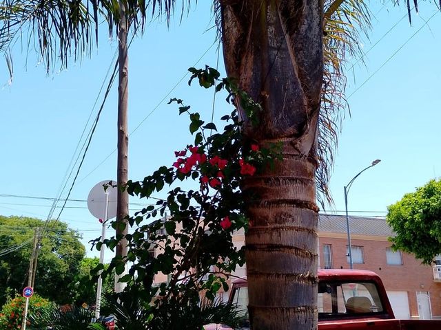 place photo 60