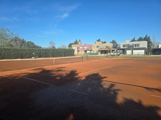 place photo 21
