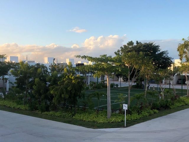 place photo 22