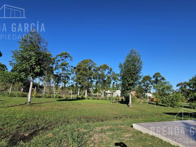 place photo 34