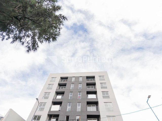 place photo 50