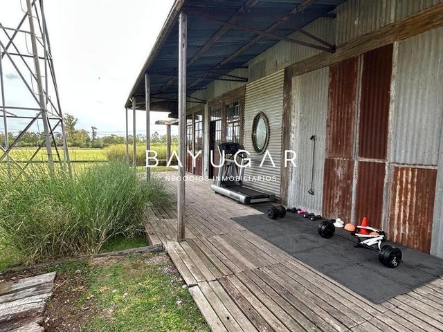 place photo 27