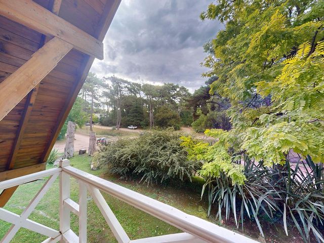 place photo 49