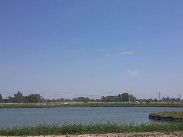 place photo 58