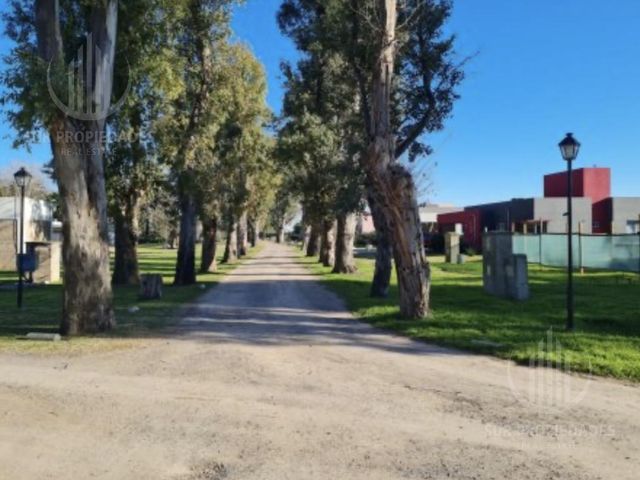 place photo 30