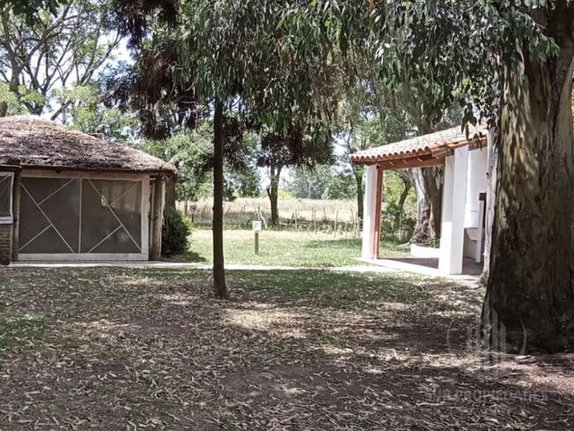 place photo 33